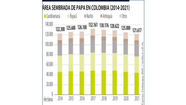 El área sembrada de papa se ha reducido 8% en los últimos cuatro años en Colombia